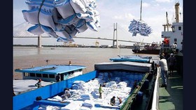 Việt Nam sẽ xuất khẩu gạo sang Hàn Quốc