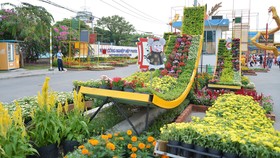 Khai mạc hội hoa xuân phục vụ bà con ngoại thành