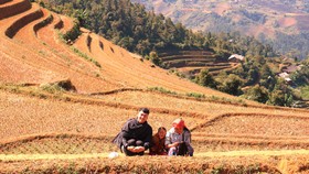 Xu hướng... thích một mình
