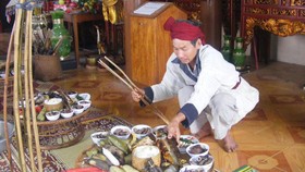 Cá mát hồi sinh