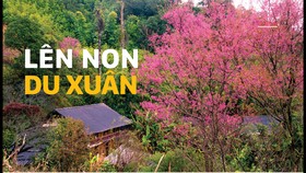 Lên non du xuân