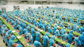 “Mở” nhưng vẫn có “rào”