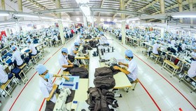 Hiệp định Thương mại tự do EVFTA: Mừng và lo