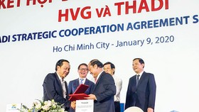 HVG - Đánh mất ngôi vương