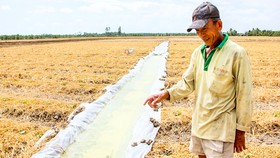 Hạn mặn có đáng sợ?