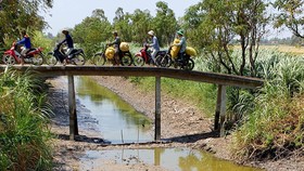Không được lơ là phòng chống hạn mặn