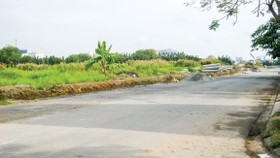 TPHCM kiến nghị khơi thông 63 dự án