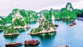 Ngành du lịch chỉ kỳ vọng thị trường nội địa