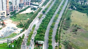 Ngăn ngừa cây xanh đường phố gãy đổ