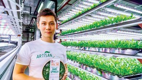 Bỏ chủ sòng bài làm nông nghiệp đô thị