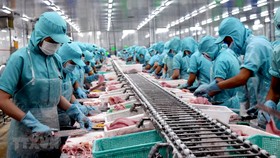 Doanh nghiệp ĐBSCL bị giảm hơn 80% đơn hàng do dịch