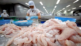 Xuất khẩu nửa cuối năm 2020: Nhiều kỳ vọng từ EVFTA