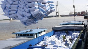 EU công bố hạn ngạch nhập khẩu nông sản và gạo Việt Nam theo EVFTA