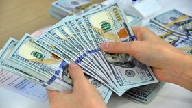 Việt Nam sẽ tiếp tục ưu tiên huy động vốn ODA