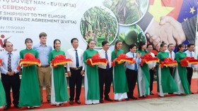 Xuất khẩu lô hàng trái cây đầu tiên theo Hiệp định EVFTA