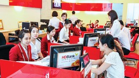 HDB là một trong những mã CP ghi nhận mức tăng trưởng TNHĐ và lợi nhuận trước thuế cao. Ảnh: LONG THANH