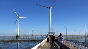 Phát triển điện gió ngoài khơi: Tiềm năng mới cho nền kinh tế biển