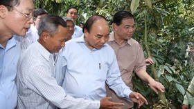 Thủ tướng Chính phủ Nguyễn Xuân Phúc khảo sát vùng chuyên canh sầu riêng tại Tiền Giang