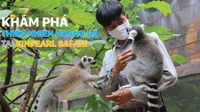 Khám phá thiên nhiên hoang dã tại Vinpearl Safari