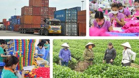 Kinh tế Việt Nam chỉ có thể tăng trưởng 1,8-2%