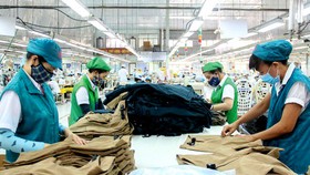 DN siêu nhỏ, nhỏ và vừa là chìa khóa cho phục hồi tại Đông Nam Á