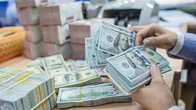 Kiều hối gửi về TPHCM đang tăng so với cùng kỳ
