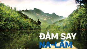 Đắm say Na-Lâm