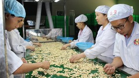 Hàng xuất khẩu Việt Nam chiếm 2% thị phần châu Âu