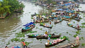 Bộ “chính sách vàng” thúc đẩy ĐBSCL phát triển