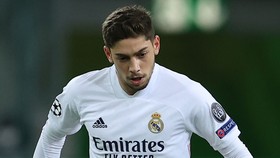 Federico Valverde trong màu áo Real Madrid