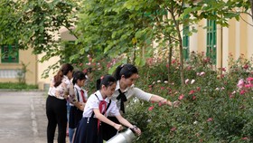Các em học sinh chăm sóc vườn cây được “Quỹ 1 triệu cây xanh cho Việt Nam” trao tặng, học cách phân biệt các loại cây, tìm hiểu lợi ích của cây với môi trường và cuộc sống.