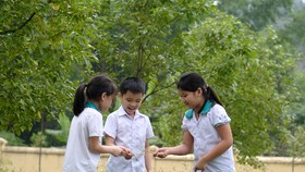 Tăng mảng xanh cho các địa danh lịch sử