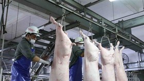 Dây chuyền chế biến thịt lợn tại nhà máy của Công ty Cổ phần Công nghệ thực phẩm Vinh Anh, huyện Thường Tín (Hà Nội). (Ảnh: Vũ Sinh/TTXVN)