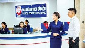 Hiện thống NH ngày càng lành mạnh, nhưng vẫn còn khó khăn trong việc tăng vốn.