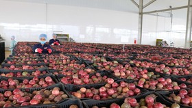 EVFTA - Cơ hội lớn cho xuất khẩu rau quả mở rộng thị trường