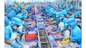 Xuất khẩu khả quan sau 1 năm thực hiện CPTPP