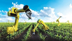 Phát triển mạnh sản phẩm, đặc sản thế mạnh