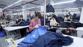 Công nhân sản xuất sản phẩm may mặc tại Công ty cổ phần may và dịch vụ Hưng Long (huyện Mỹ Hào, Hưng Yên). (Ảnh: Phạm Kiên/TTXVN)