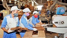 Ngành gỗ thiệt hại 3.000 tỷ đồng vì dịch Covid -19