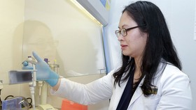 TS Huyền và các cộng sự mong muốn tạo nên được những ứng dụng công nghệ gen thiết thực cho sức khỏe con người