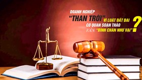 Rủi ro khi Luật Đất đai chậm sửa đổi