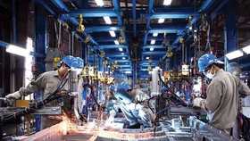 Doanh nghiệp Việt mong "đổi vận" khi tham gia vào "cuộc chơi" chuyển đổi số. (Ảnh minh họa: KT)