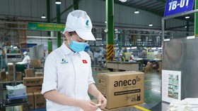 An Phát Holdings chào bán 4,3 triệu cổ phần giá khởi điểm 25.000 đồng