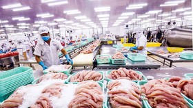 Xuất khẩu thủy sản của Việt Nam chủ yếu vào Trung Quốc, phần EU rất ít, vì thế tận dụng thuế quan từ EVFTA không đáng kể.