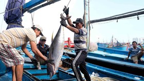 Việt Nam bảo vệ và phát triển nguồn lợi hải sản vì một đại dương xanh