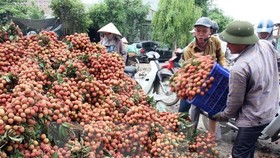 Kết nối sản xuất, tiêu thụ nông sản thực phẩm vùng kinh tế phía Nam