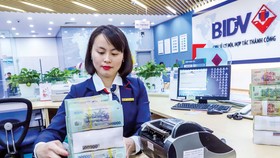 Ảnh minh họa: VIẾT CHUNG