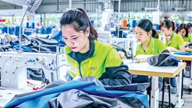 Lợi thế của DN Việt đưa hàng vào EU nhưng cũng phải tính đến điều xấu nhất có thể xảy ra.