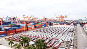 Một lượng lớn ô tô nhập khẩu từ 2019 nay đã đổ vào thị trường Việt Nam.