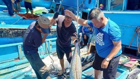 Công bố cụ thể cơ chế hạn ngạch thuế quan trong EVFTA
